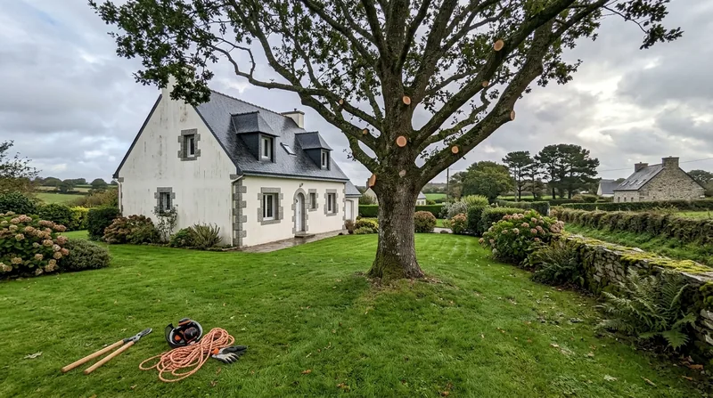 Élagage d'arbre Brest